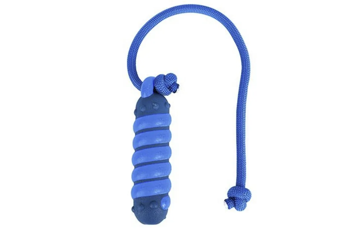Bâton en corde nylon, Classic Chew, corde bleue et cylindre sur fond blanc